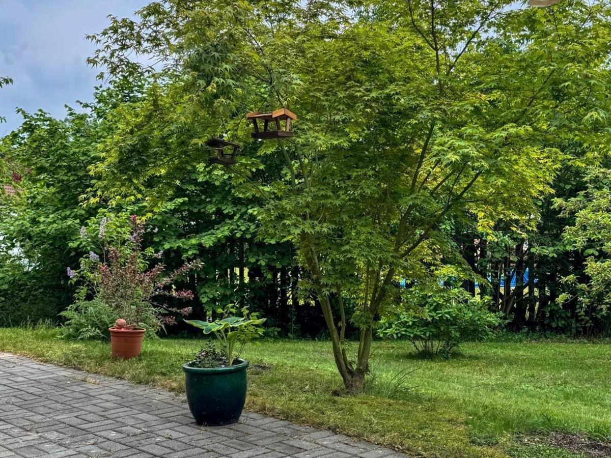 Apartment Roswitha Hademstorf